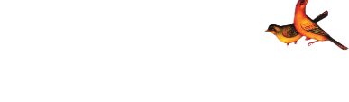آموزشگاه موسیقی سازک